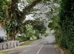 turf-club-road photo thumbnail #4